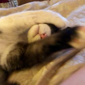 Meet your Posher, Amanda